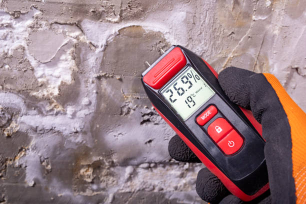 Best Crawl Space Mold Removal  in , WV