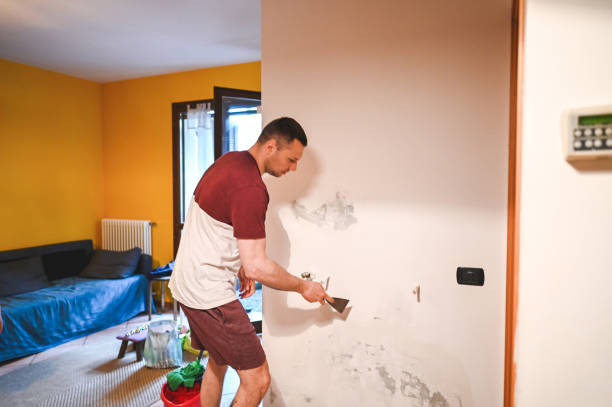 Best Toxic Mold Removal  in , WV
